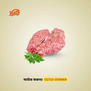 Beef Brain (Mogoz) 1 pcs