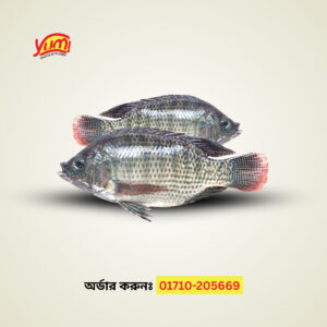 Tilapia Fish ( 1 kg )