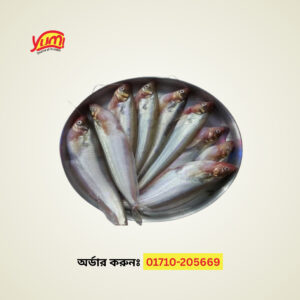Pabda Fish ( 1 kg + half KG)
