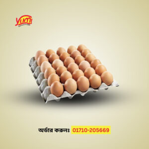 Egg - Family Pack (30 Pcs)