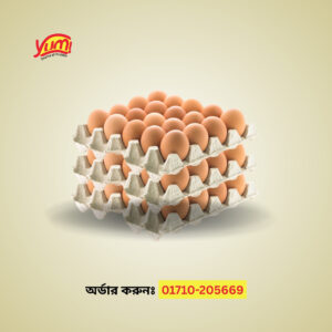 Egg - Industrial Pack (30,000 Pcs)