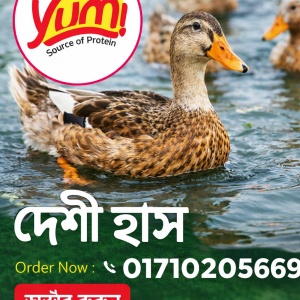 Duck Fresh - Deshi (1 Kg)