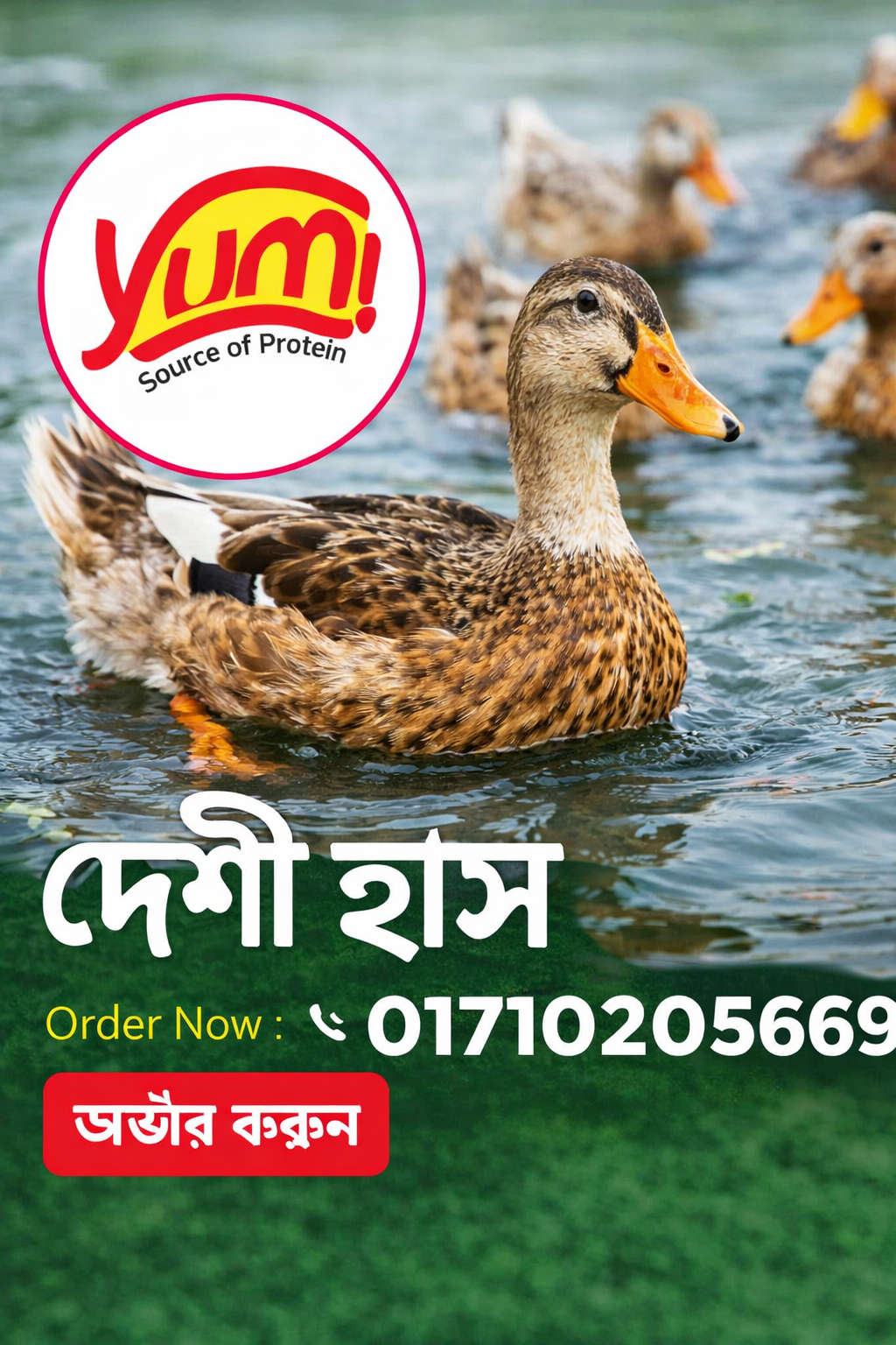 Duck Fresh - Deshi (1 Kg)