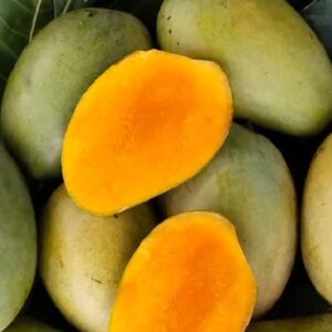 আম্রপালি আম ( স্ট্যান্ডার্ড )