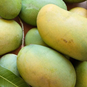 আম্রপালি আম ( প্রিমিয়াম )