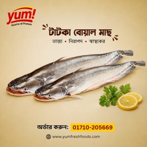 BOAL FISH -বোয়াল মাছ 1 KG